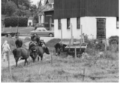 Agrarian and Rural History, Swedish University of Agricultural Sciences / Sweden